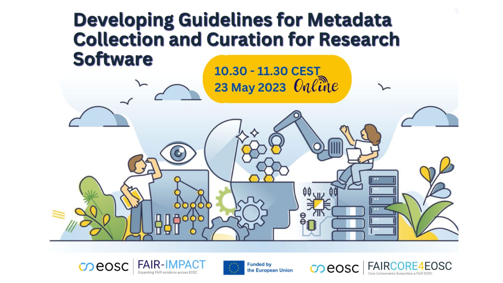 Developing Guidelines for Metadata Collection and Curation in Research Software