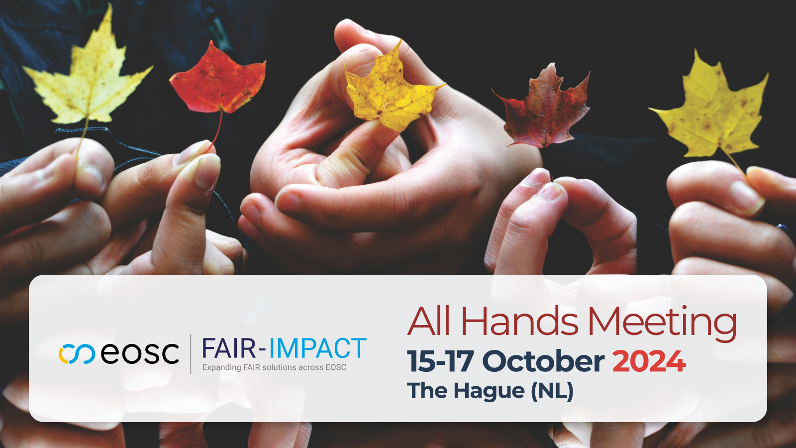 Second FAIR-IMPACT All Hands Meeting